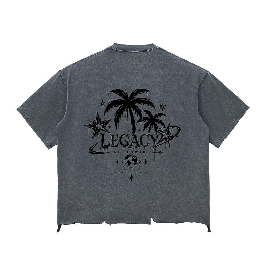 Snow Wash Legacy Star